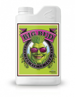 Advanced Nutrients Big Bud 250 мл