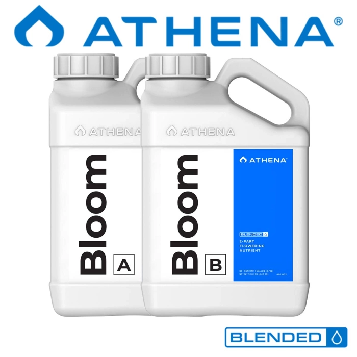 Athena Bloom A&B 946мл